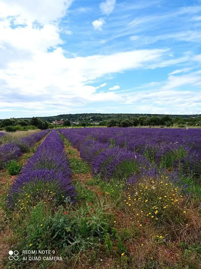 Holiday home Gite Du Grand Chene Saint-Remeze